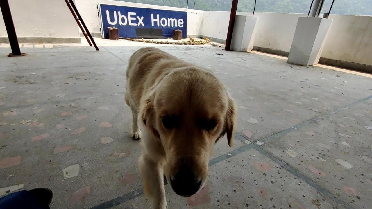 Ubex Home Rishīkesh Exteriör bild